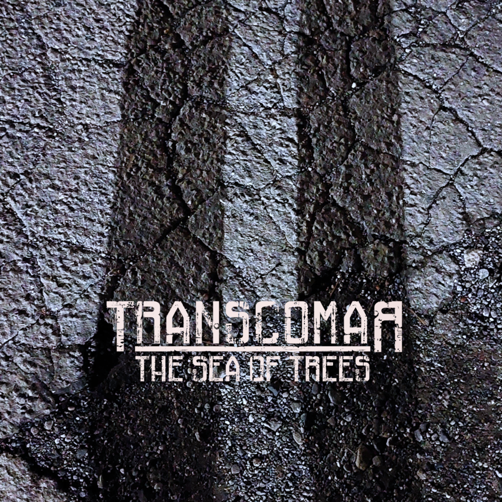 Transcomar - The Sea of Trees